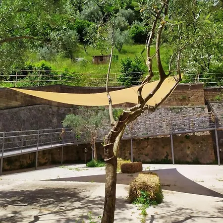 Il Castagno Auberge de jeunesse *