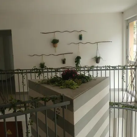 Auberge de jeunesse Il Castagno *
